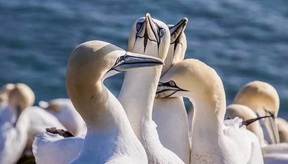 国电电力上涨4.21%,报4.7元/股