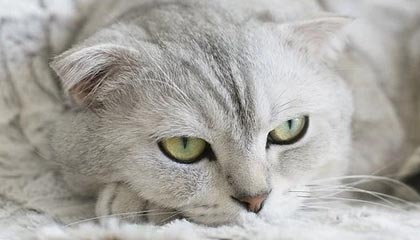 国电南瑞取得电力负荷供电控制相关专利