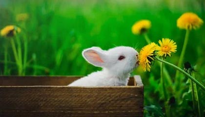 跃升14位!国电电力ESG荣登双榜!