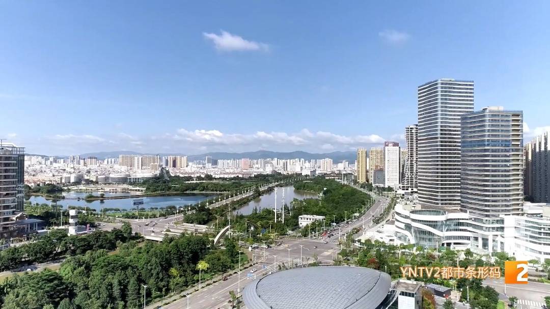 路边“黄金果”别乱摘!绿化部门紧急提醒:有毒!