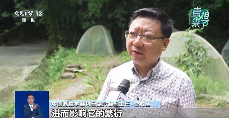 网传萤火虫濒临灭绝,是真的吗?