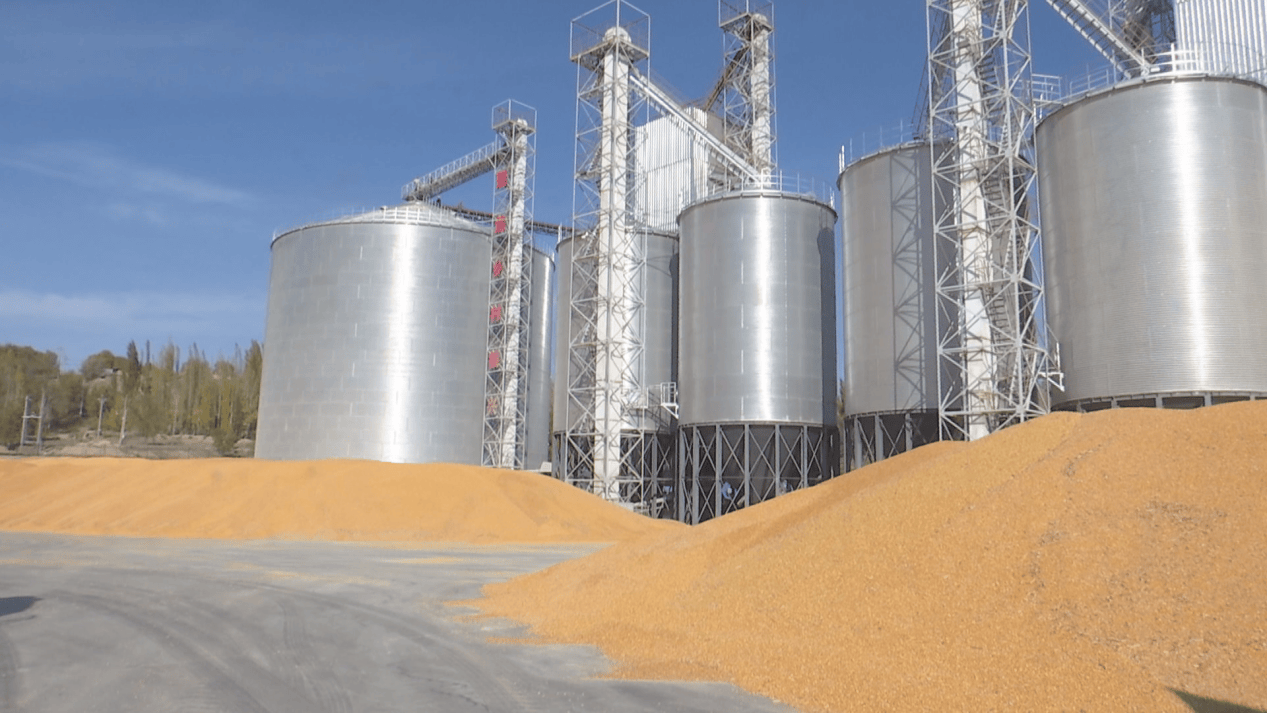 中石油援建玉米烘干厂 为乡村振兴注入“石油动能”